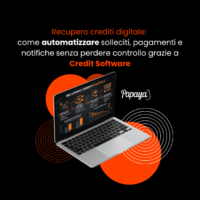 testata foto articoli Papaya (2)